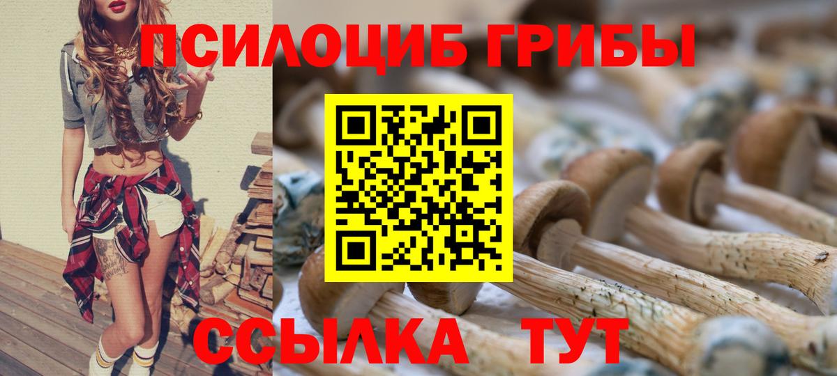 Псилоцибиновые грибы Psilocybine cubensis Искитим