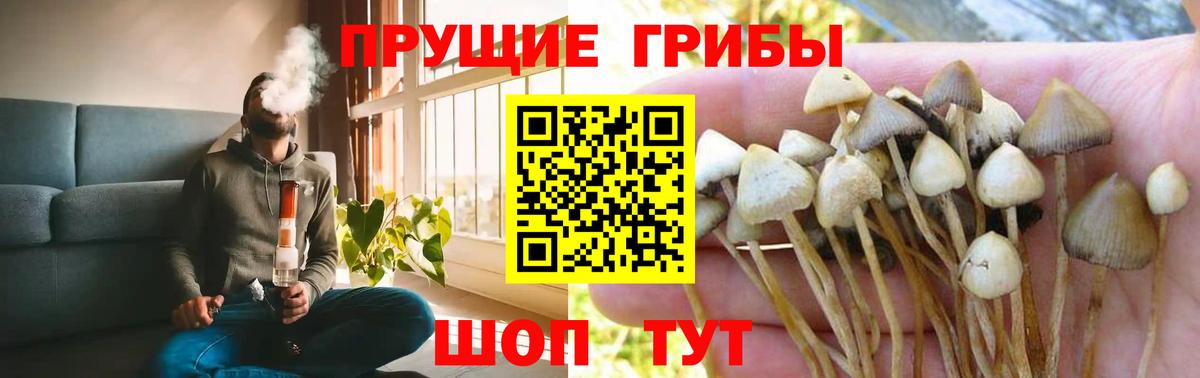 Псилоцибиновые грибы Psilocybe  Вход с VPN  Искитим  Галлюциногенные грибы Cubensis 